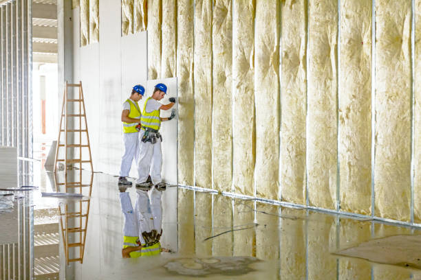 Best Specialized Insulation Services in Brocton, NY